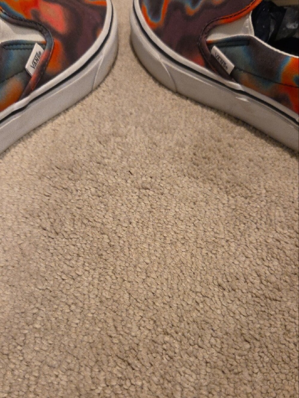 Multicolor Vans - Picture 4 of 7